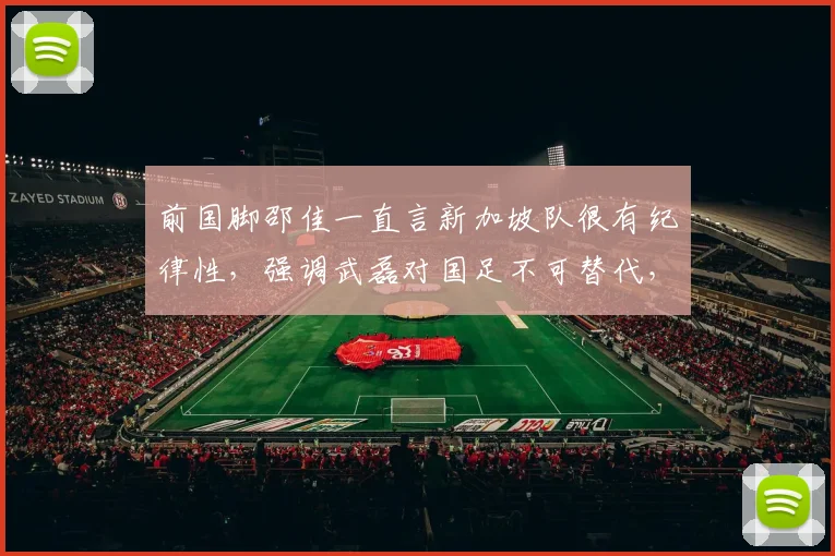 前国脚邵佳一直言新加坡队很有纪律性,强调武磊对国足不可替代,号召全队为共同目标而战